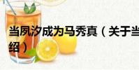 當夙汐成為馬秀真(關于當夙汐成為馬秀真介紹)