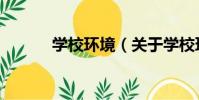 學校環境(關于學校環境介紹)