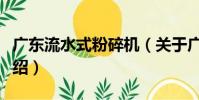 廣東流水式粉碎機(關于廣東流水式粉碎機介紹)