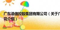 廣東浩信控股集團有限公司(關于廣東浩信控股集團有限公司介紹)