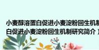 小麥醇溶蛋白促進小麥淀粉回生機制研究(關于小麥醇溶蛋白促進小麥淀粉回生機制研究簡介)