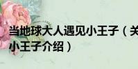當地球大人遇見小王子(關于當地球大人遇見小王子介紹)