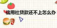 信用社貸款還不上怎么辦(信用社貸款)