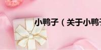 小鴨子(關于小鴨子簡介)