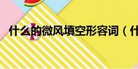 什么的微風填空形容詞(什么的微風填空)