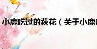 小鹿吃過的萩花(關于小鹿吃過的萩花簡介)