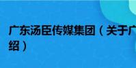 廣東湯臣傳媒集團(關于廣東湯臣傳媒集團介紹)