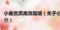 小麥優質高效栽培(關于小麥優質高效栽培簡介)