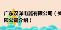 廣東漢洋電器有限公司(關于廣東漢洋電器有限公司介紹)