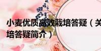 小麥優質高效栽培答疑(關于小麥優質高效栽培答疑簡介)