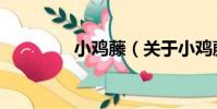小雞藤(關于小雞藤簡介)