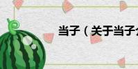 當子(關于當子介紹)