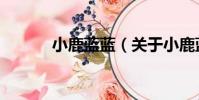 小鹿藍藍(關于小鹿藍藍簡介)