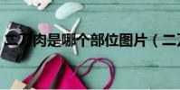 二刀肉是哪個部位圖片(二刀肉是哪個部位)