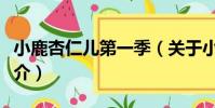 小鹿杏仁兒第一季(關于小鹿杏仁兒第一季簡介)