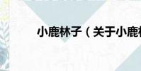 小鹿林子(關于小鹿林子簡介)
