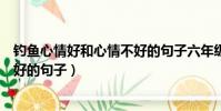 釣魚心情好和心情不好的句子六年級(釣魚心情好和心情不好的句子)