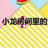 小龍房間里的魚（關于小龍房間里的魚簡介）