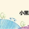 小黑球（關于小黑球簡介）