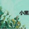 小黑貓（關于小黑貓簡介）