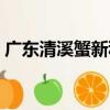 廣東清溪蟹新種（關于廣東清溪蟹新種介紹）