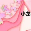 小龍獸（關于小龍獸簡介）