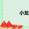 小龍女（關于小龍女簡介）