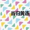 當歸黃連湯（關于當歸黃連湯介紹）