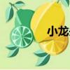 小龍頭（關于小龍頭簡介）