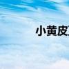 小黃皮豆（關于小黃皮豆簡介）