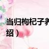 當歸枸杞子養顏湯（關于當歸枸杞子養顏湯介紹）