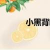 小黑背鷗（關于小黑背鷗簡介）