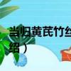 當歸黃芪竹絲雞湯（關于當歸黃芪竹絲雞湯介紹）