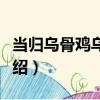 當歸烏骨雞烏賊湯（關于當歸烏骨雞烏賊湯介紹）