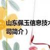 山東佩玉信息技術有限公司（關于山東佩玉信息技術有限公司簡介）