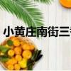 小黃莊南街三巷（關于小黃莊南街三巷簡介）