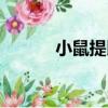 小鼠提比（關于小鼠提比簡介）