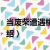 當廢柴遭遇桃花九（關于當廢柴遭遇桃花九介紹）