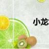 小龍塘（關于小龍塘簡介）