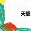 天翼之聲（天翼之鏈私服）