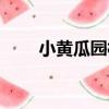 小黃瓜園村（關于小黃瓜園村簡介）
