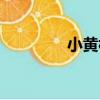 小黃構（關于小黃構簡介）