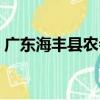 廣東海豐縣農會（關于廣東海豐縣農會介紹）