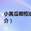 小黃瓜橄欖油沙拉（關于小黃瓜橄欖油沙拉簡介）