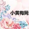 小黃梅筒魚（關于小黃梅筒魚簡介）