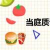 當庭質證（關于當庭質證介紹）