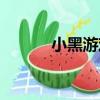 小黑游戲（關于小黑游戲簡介）