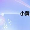 小黃瓜（關于小黃瓜簡介）