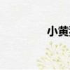 小黃狗（關于小黃狗簡介）