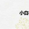 小白楊簡譜（小白楊簡譜）